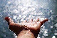 Maître Guérisseur Reiki à Toulouse : Coupeur de feu